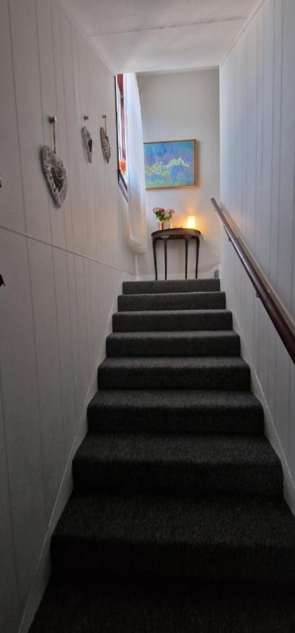 Morris Terrace Apartment สเตอร์ลิง ภายนอก รูปภาพ